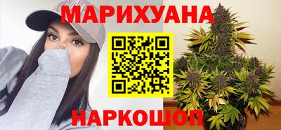 прущие крисы Гатчина