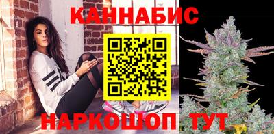 прущие крисы Гатчина