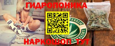 прущие крисы Гатчина