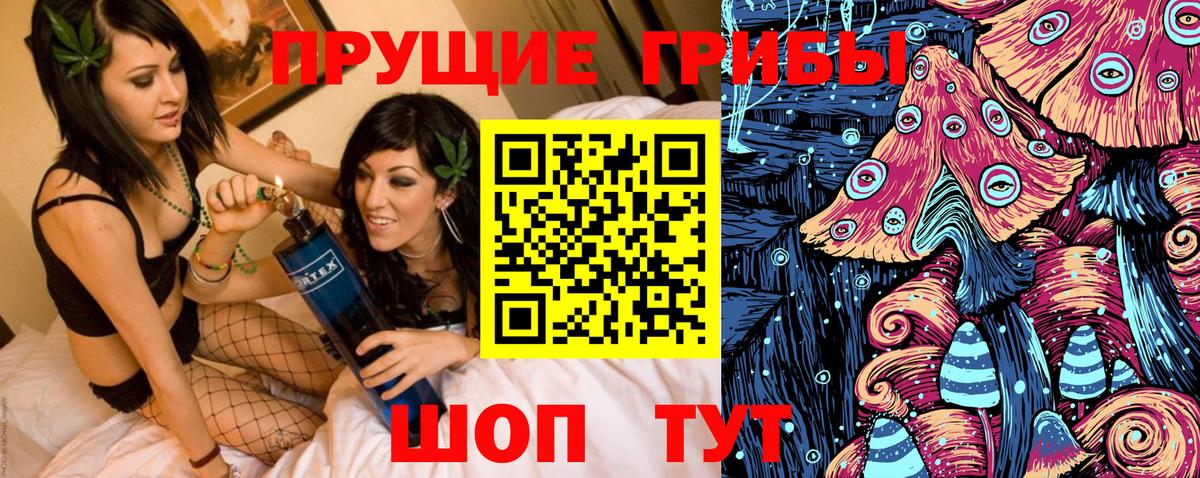 Михайловск  Галлюциногенные грибы прущие грибы  Галлюциногенные грибы MAGIC MUSHROOMS  Вход с VPN 